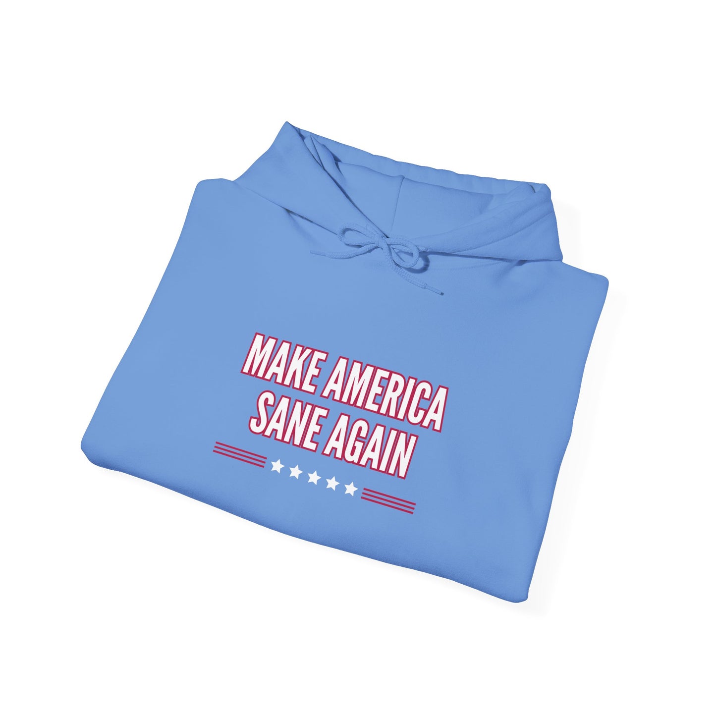 Unisex Heavy Blend™ Hooded Sweatshirt – "Make America Sane Again"