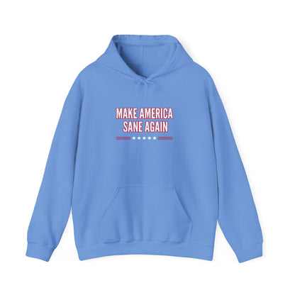 Unisex Heavy Blend™ Hooded Sweatshirt – "Make America Sane Again"